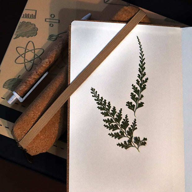 Eco-friendly Gift Set: A Sustainable and Stylish Gift